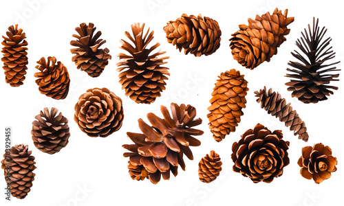 collection of small pinecones for decoration isolated against a transparent background, top view, New year holiday vector. Nature Winter template, PNG.