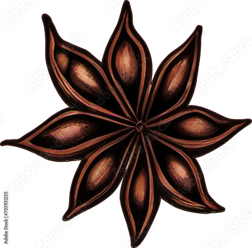 Illustration Of Anise Flower Herbs Spices Vector (ID: 703931255)