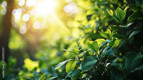 夏の庭の緑の葉の素晴らしい太陽光線の自然GenerativeAI