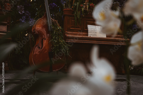 Plants and instruments