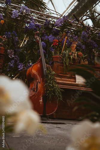 Plants and instruments