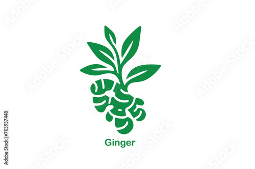 Ginger Root Vector Illustration Icon
