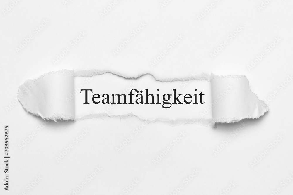 Teamfähigkeit	