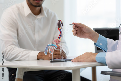 Doctor counseling of male patient with suspected bacterial prostatitis Prostate disease and treatment Anatomical model of the male reproductive system in the hands of a doctor. photo