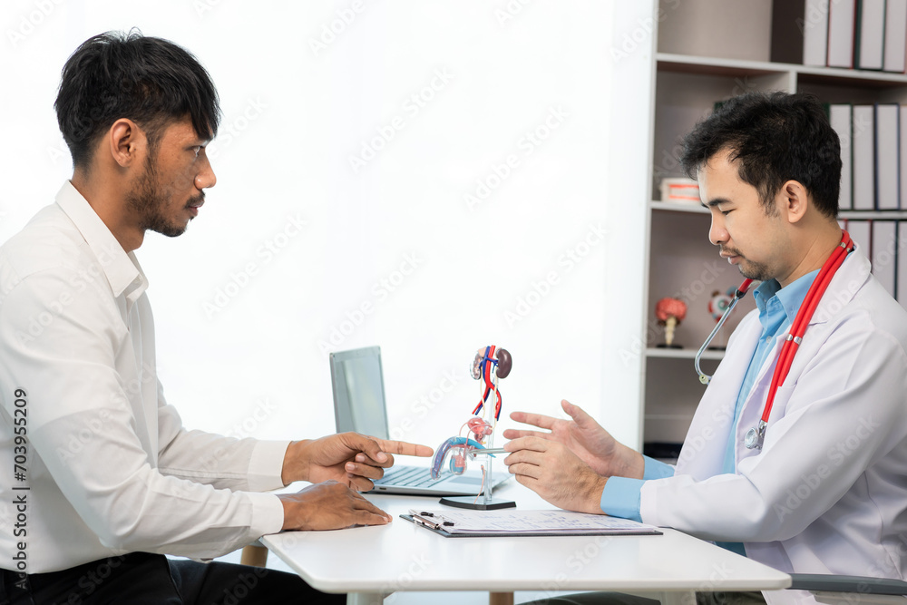 Fototapeta premium Doctor counseling of male patient with suspected bacterial prostatitis Prostate disease and treatment Anatomical model of the male reproductive system in the hands of a doctor.