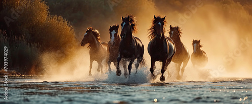A group horse running across a lake.