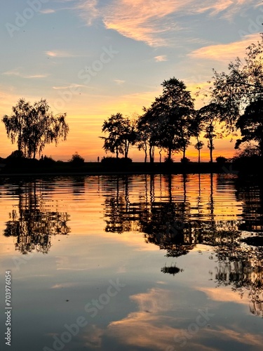 some trees in the water during sunset with clouds on the sky