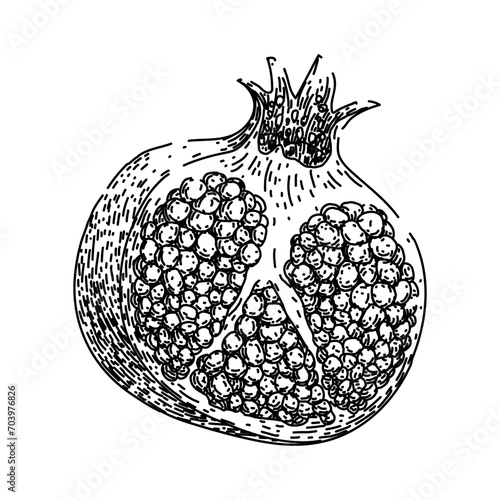 fruit pomegranate hand drawn. red fresh, cut seed, food juice fruit pomegranate vector sketch. isolated black illustration