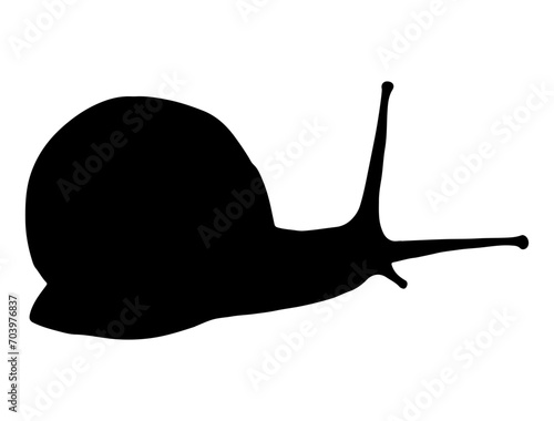 Snail, Seafood silhouette vector art white background