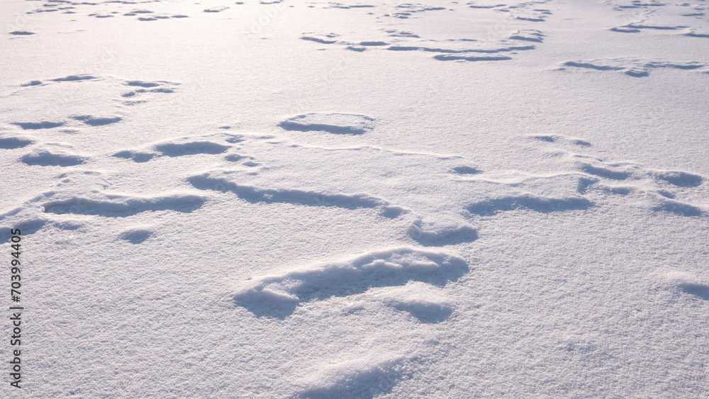 Texture snow background with reflection of sun rays Texture snow background with reflection of sun rays