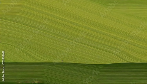 modern designed horizontal banner with yellow green very dark green and dark olive green colors dynamic curved lines with fluid flowing waves and curves © Wendy