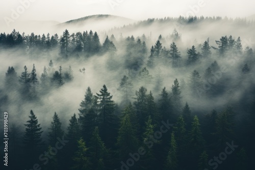  a forest filled with lots of tall pine trees covered in a layer of fog and smoggy fog in the distance is a hill with a forest covered with tall pine trees in the foreground.