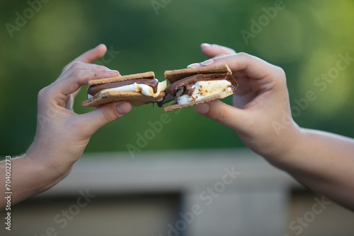 S'mores. 