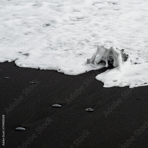 waves with foam on black sand in Iceland