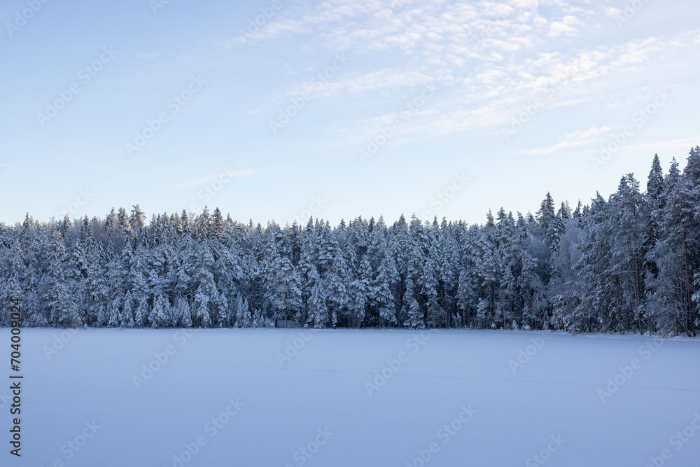 Very cold January winter day scenery (-21ºC). Sun is shining just above horizon. Very cold January winter day scenery (-21ºC). Sun is shining just above horizon.