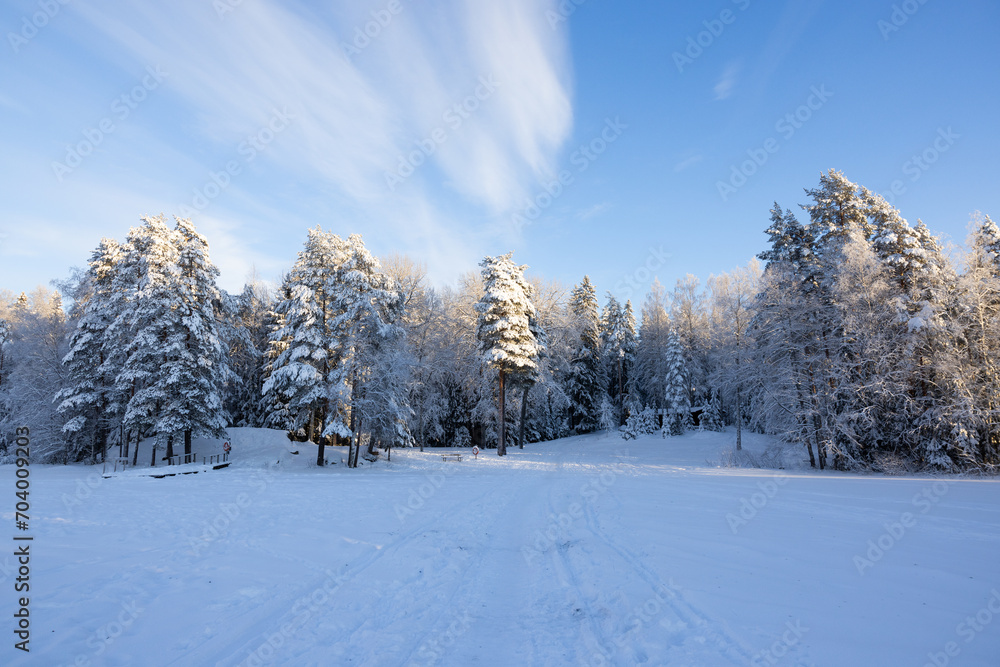 Very cold January winter day scenery (-21ºC). Sun is shining just above horizon. Very cold January winter day scenery (-21ºC). Sun is shining just above horizon.