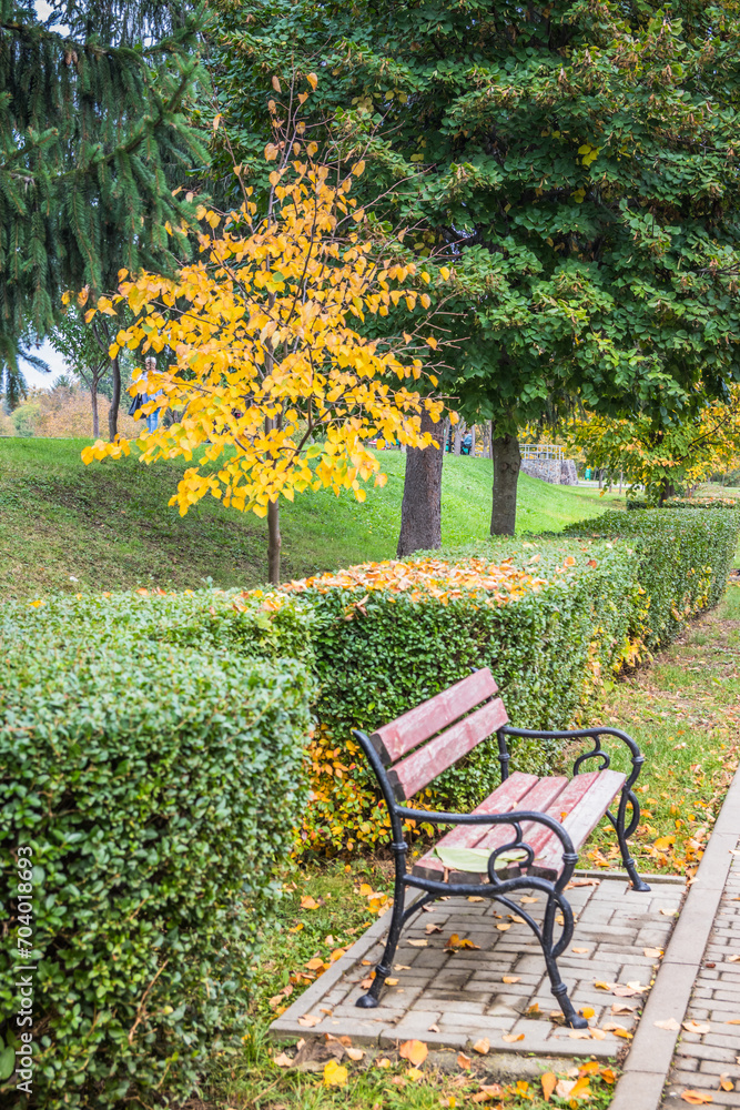 Autumn park on a cloudy day. Yellow leaves on the trees and on the park path. Low gray clouds in the sky.The beginning of autumn in the park. Cloudy day. Autumn park on a cloudy day. Yellow leaves on the trees and on the park path. Low gray clouds in the sky.The beginning of autumn in the park. Cloudy day.