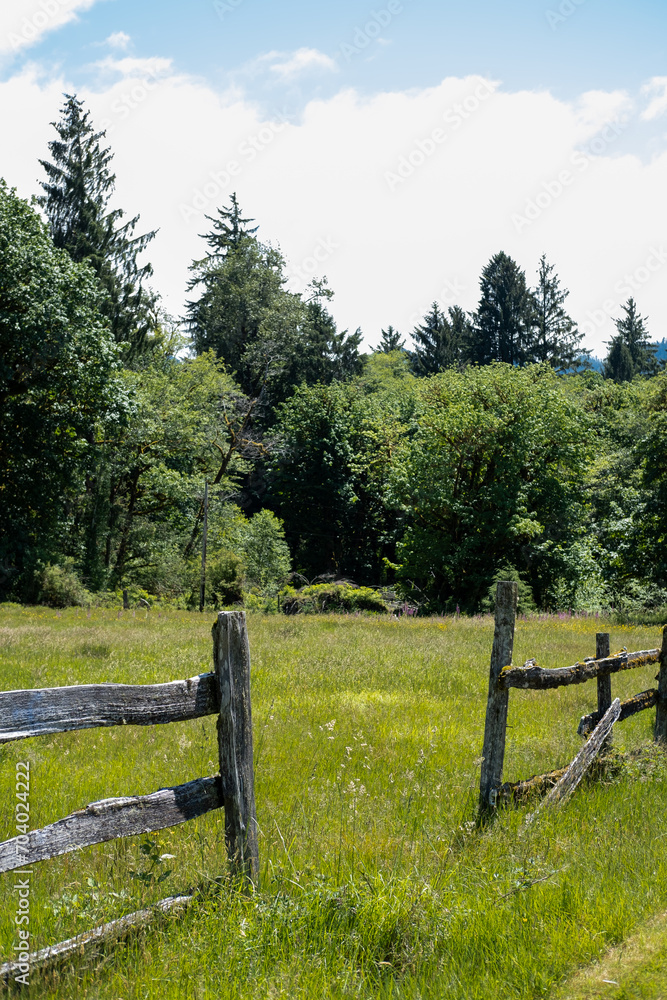 landscape with a fence landscape with a fence
