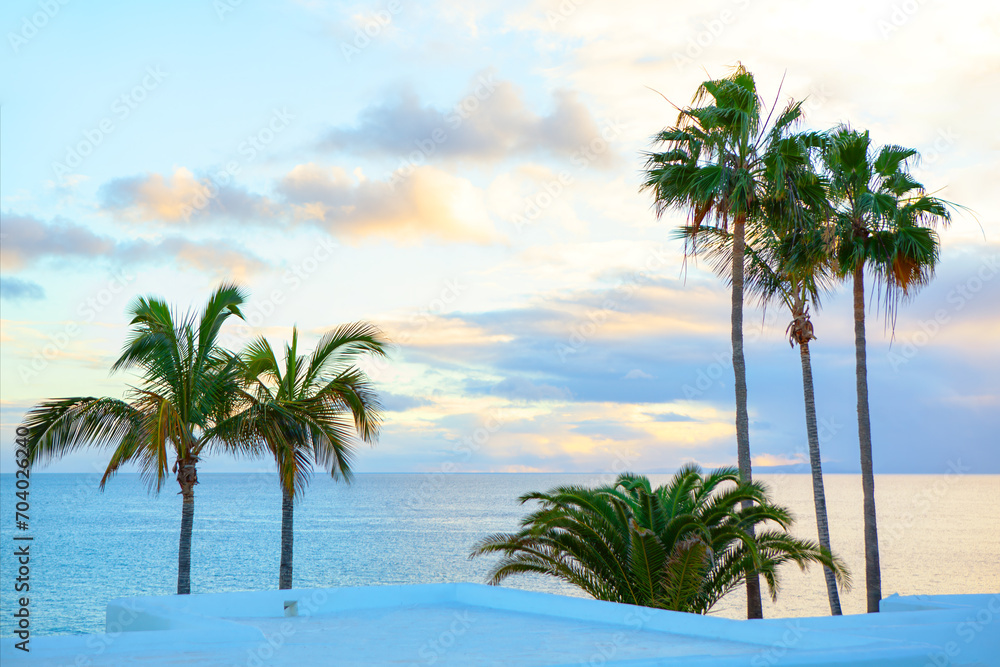 Palm trees on the background of the sea and sky at sunrise Palm trees on the background of the sea and sky at sunrise