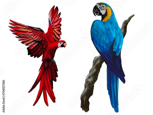 Set of macaw parrot. Red and green, gold and blue