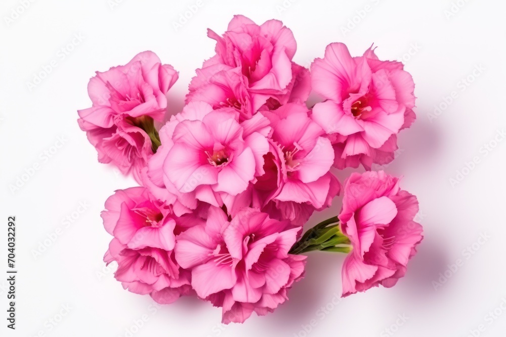  a bunch of pink flowers sitting on top of a white table next to a green leafy plant in the center of the picture, on a white background is a white surface.