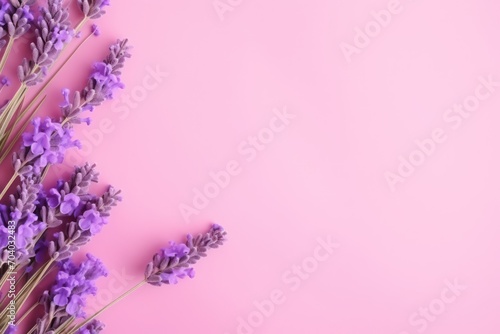  a bunch of lavender flowers on a pink background with a place for a text or an image to put on a card or save for a loved friend's day.