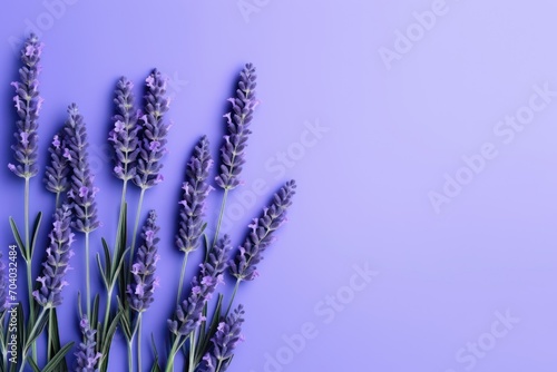  a bunch of lavender flowers sitting on top of a purple surface with a shadow of the flowers on the left side of the frame and the top of the frame.
