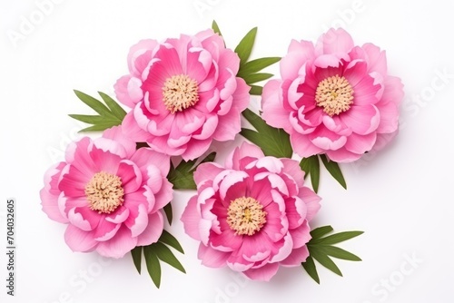  a group of pink flowers with green leaves on a white background  top view  flat lay on a white surface  with copy space for text  top view.