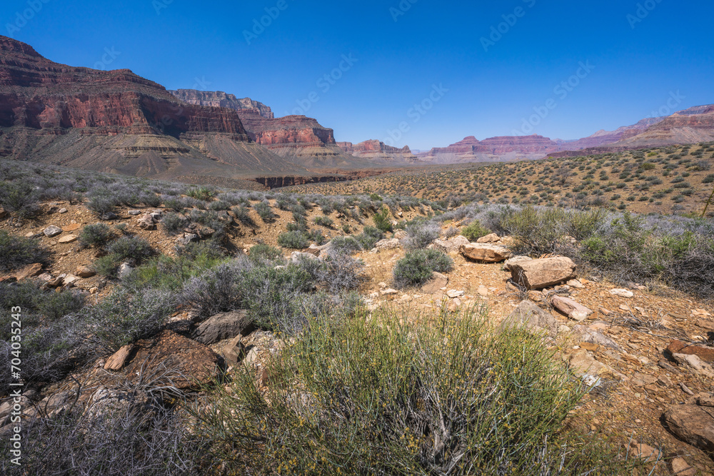 hiking the tonto trail in the grand canyon national park, arizona, usa hiking the tonto trail in the grand canyon national park, arizona, usa