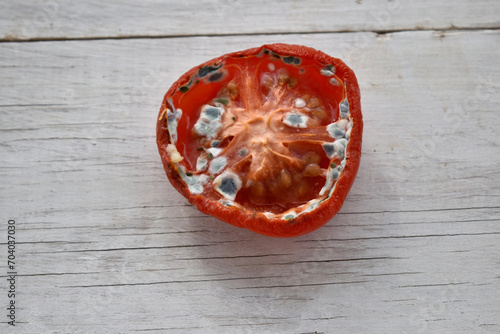 half of a tomato covered with mold photo