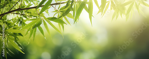 Fresh green bamboo leaves frame against a blurred sunny backdrop  creating a nature scene with Asian spirit and ample copy space