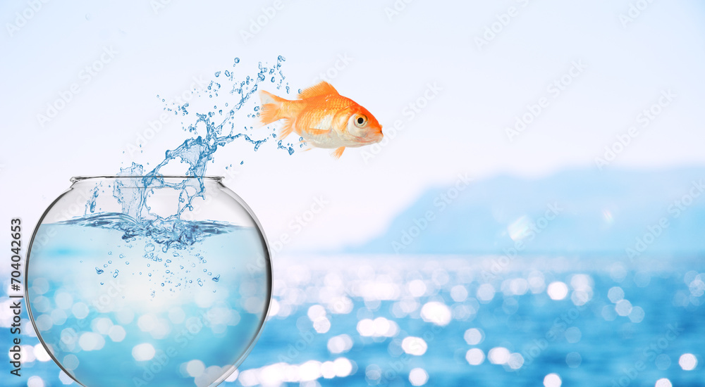Goldfish leaps out of the aquarium to throw itself into the sea - obrazy, fototapety, plakaty 