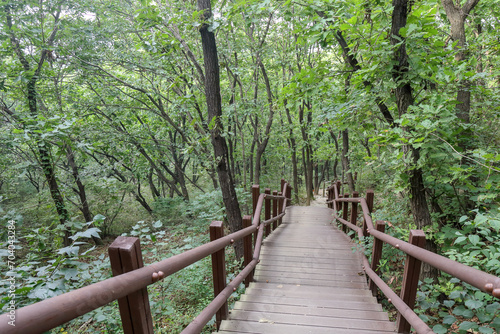 steep wooden staircase of a hiking trai