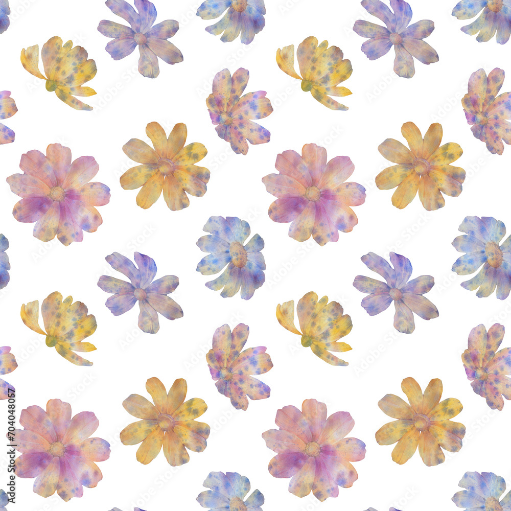 Fototapeta premium watercolor seamless pattern on a white background, colorful rudbeckia flowers