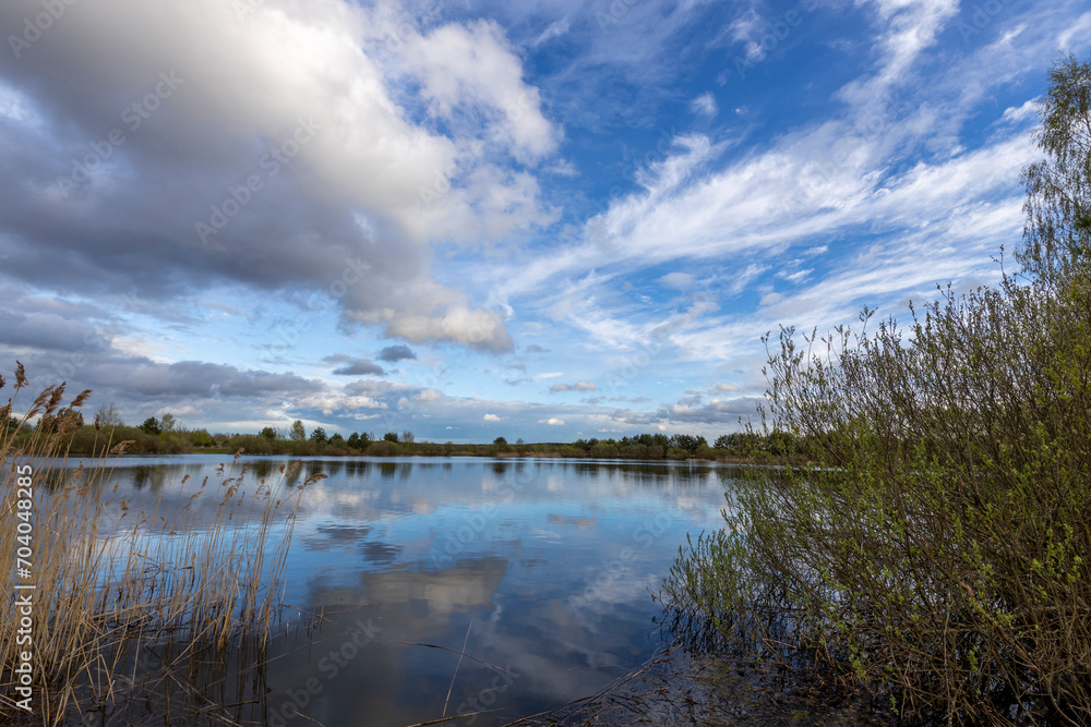 Bright spring landscape, Clouds reflected in the water. bush with young leaves in the foreground