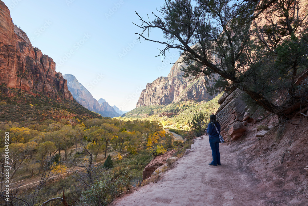 A tourist takes a pause from hiking to enjoy the view. She gazes on the nearby mountain peaks, and at the virgin river flowing through the valley below.