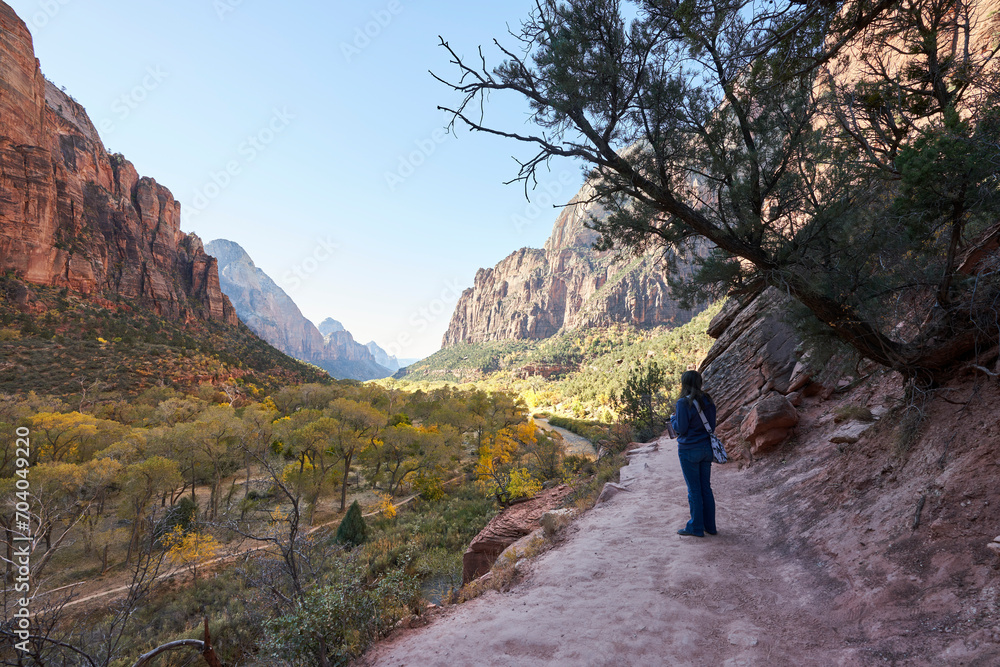 Obraz premium A tourist takes a pause from hiking to enjoy the view. She gazes on the nearby mountain peaks, and at the virgin river flowing through the valley below.