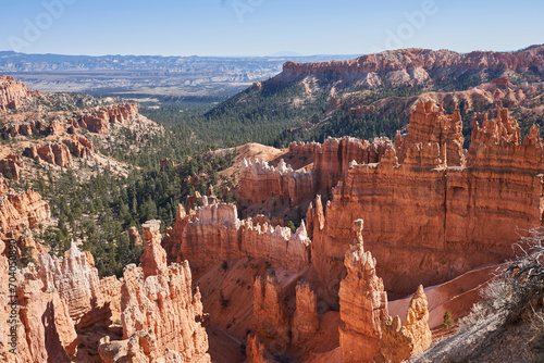 Rock hoodos give way to a coniferous forest growing in Bryce Canyon national park. The rock hoodos are tall stone formations formed by erosion of the surrounding material.