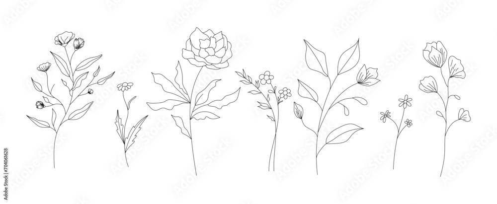 Fototapeta premium Hand drawn wild field flora, flowers, leaves, herbs, plants, branches. Minimal floral botanical line art. Vector illustration for logo or tattoo, invitations, save the date card. 