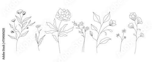 Hand drawn wild field flora, flowers, leaves, herbs, plants, branches. Minimal floral botanical line art. Vector illustration for logo or tattoo, invitations, save the date card. 