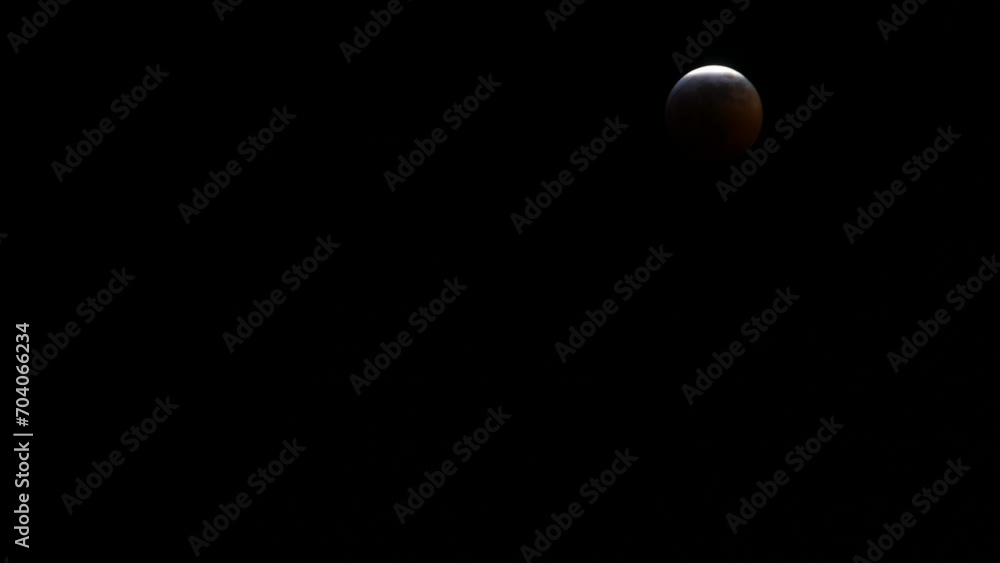 moon moon