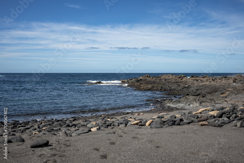 Dark sand beach  Lanzarote  Canary Islands  Spain