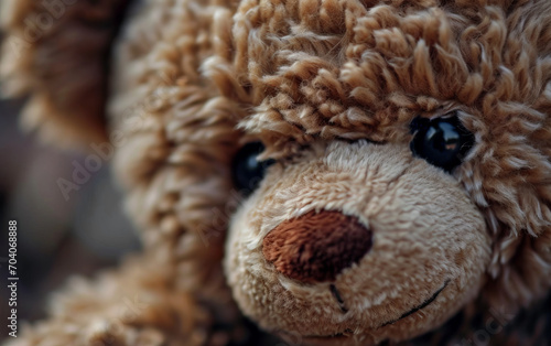 Teddy bear close-up, soft focus