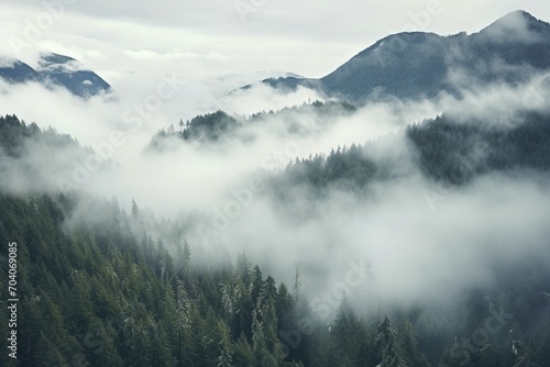 Misty Mountains and Forests © duyina1990