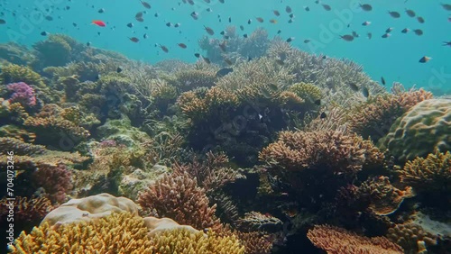 Coral reefs in the Sesoko Island in the Okinawa Islands. photo