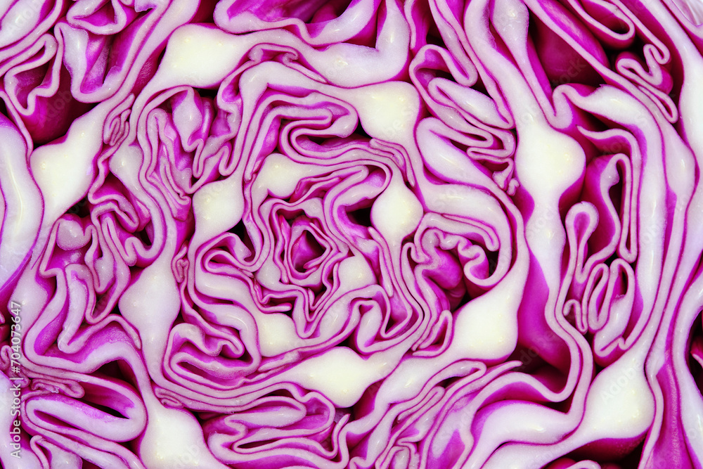 Macro texture of red cabbage in section. Macro texture of red cabbage in section.