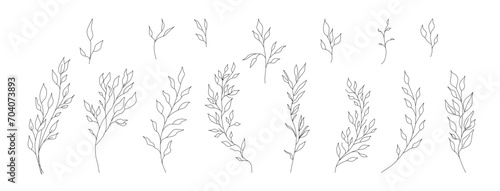 Hand drawn wild field flora, flowers, leaves, herbs, plants, branches. Minimal floral botanical line art. Vector illustration for logo or tattoo, invitations, save the date card.	 #704073893