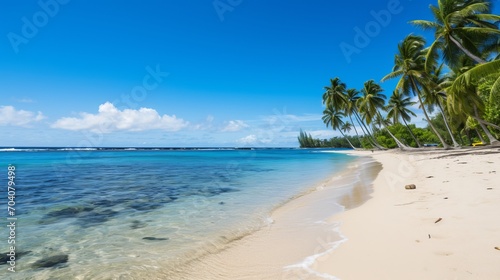 Sunny Beach Paradise with Blue Sky  Palm Trees  and Clear Waters          Idyllic Summer Getaway