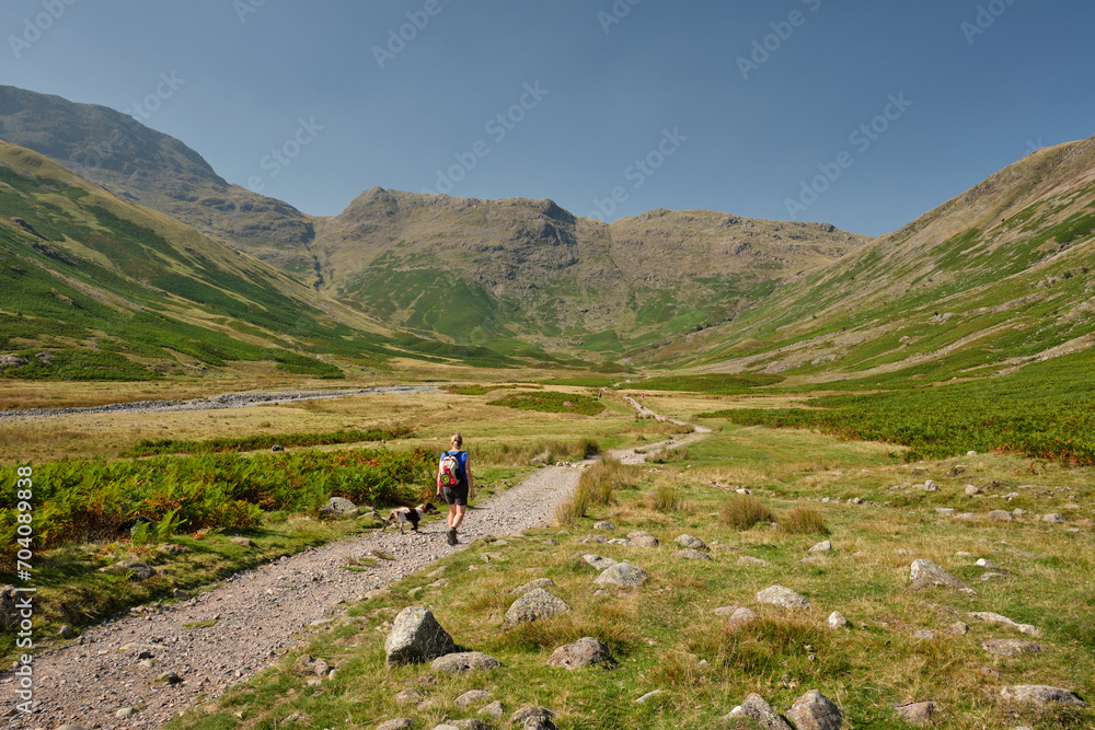A hiker with dog walking along the Cumbria Way in Mickleden. Rossett Pike in the backdround, Lake District, UK A hiker with dog walking along the Cumbria Way in Mickleden. Rossett Pike in the backdround, Lake District, UK