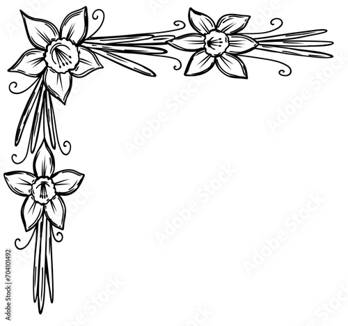Corner frame with daffodil flowers and leaves in hand drawn doodle style